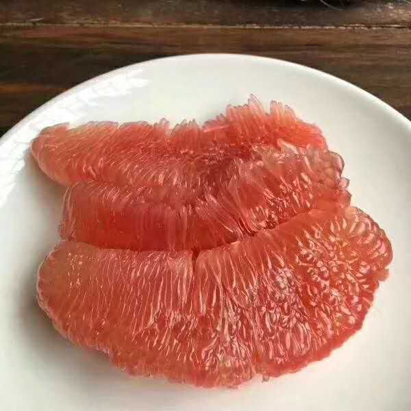 正宗漳州平和柚子，红柚，白柚皆有 自家种的自家销 现广招代理