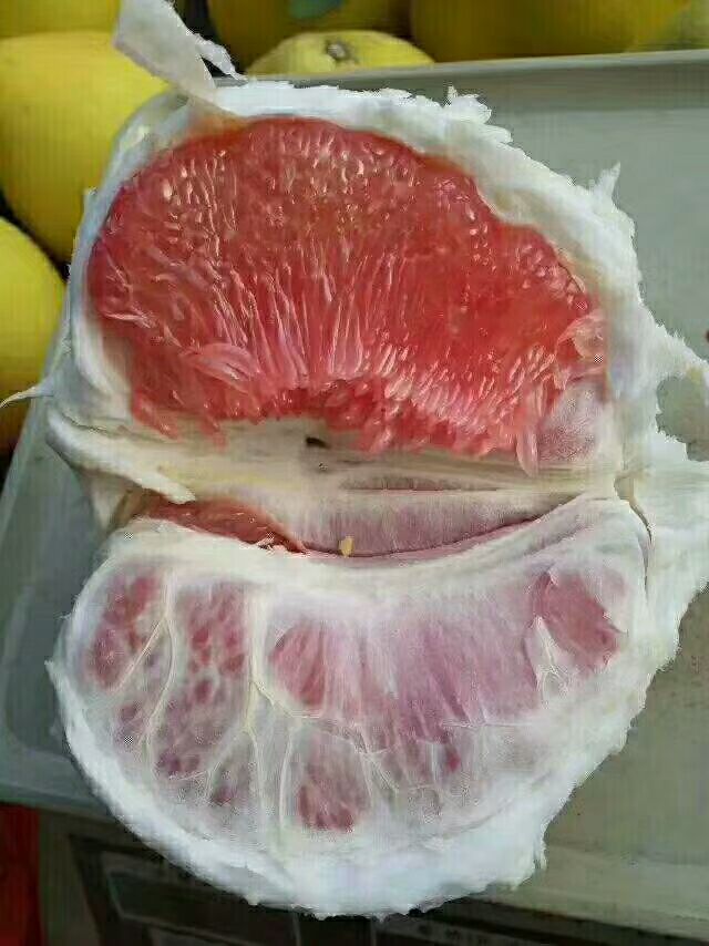 平和柚子，自产自销 现摘现发