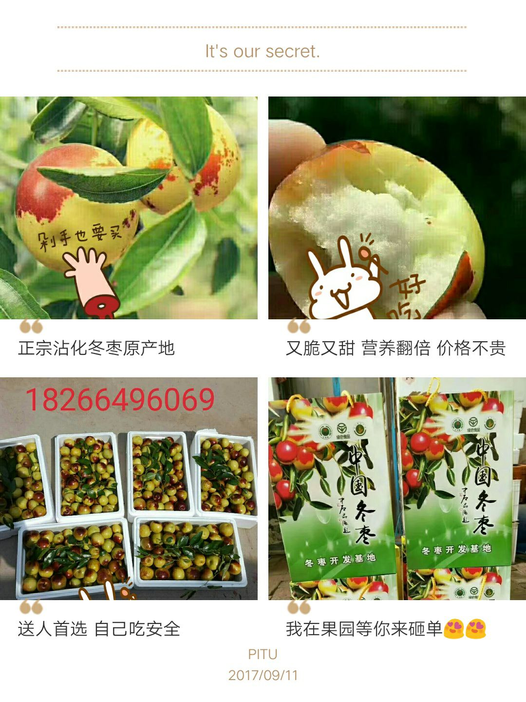 卖冬枣喽！冬枣一手货源 招代理 自家种植