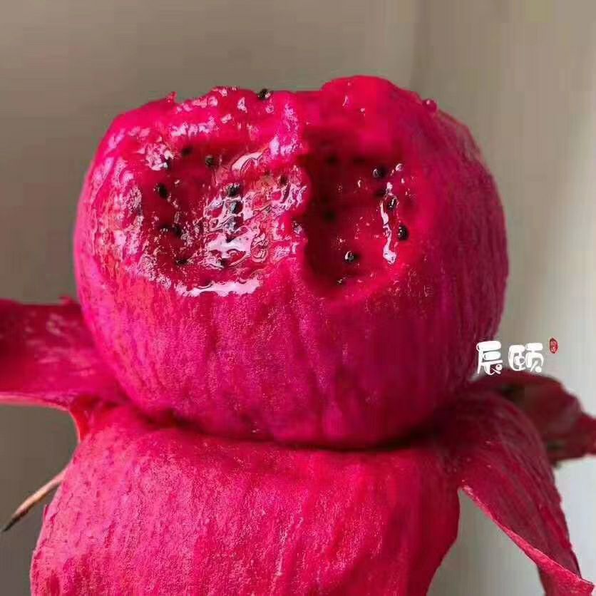 纯天然现摘现发水果