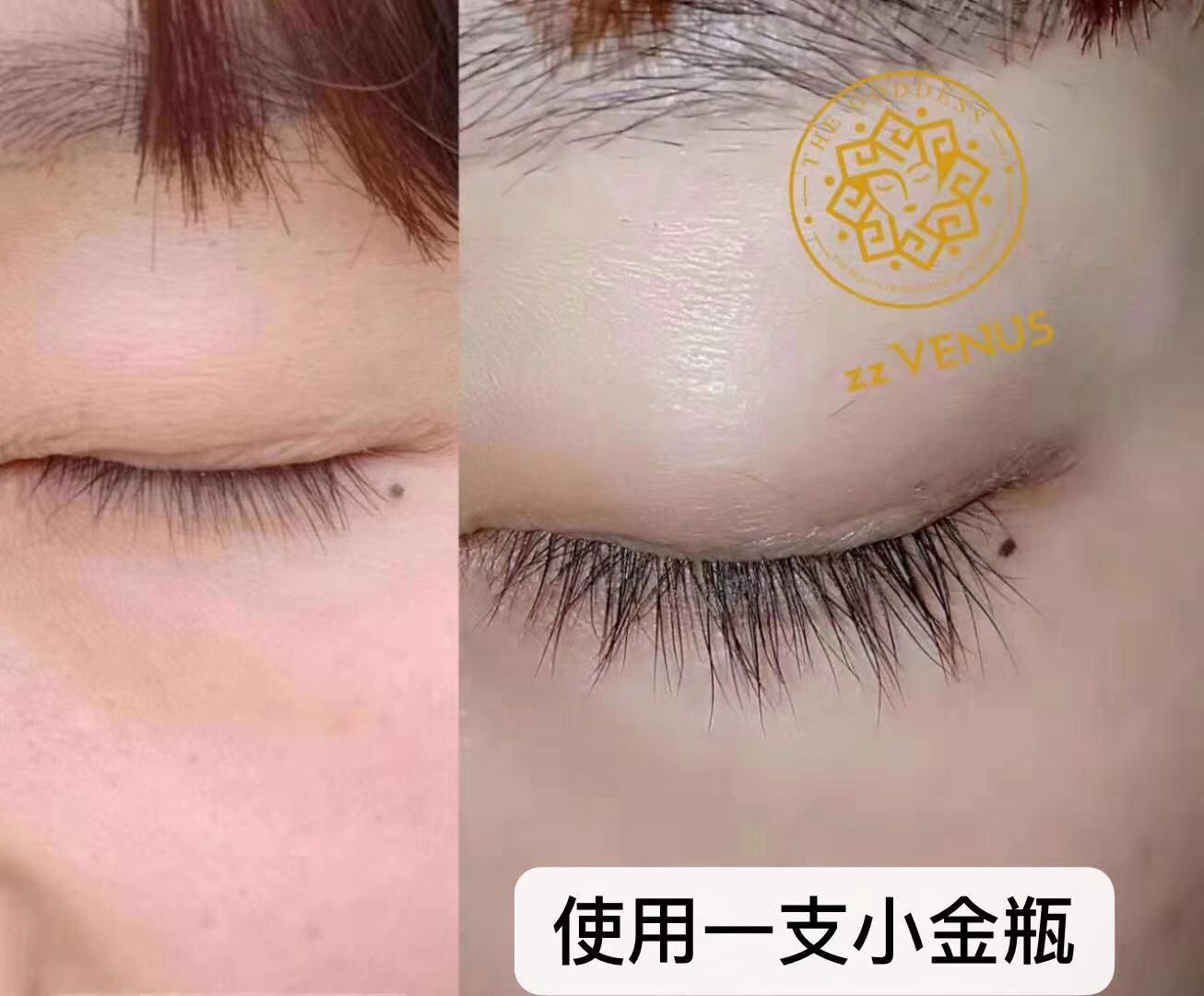 美国 zz VENUS（维纳斯）睫毛精华液