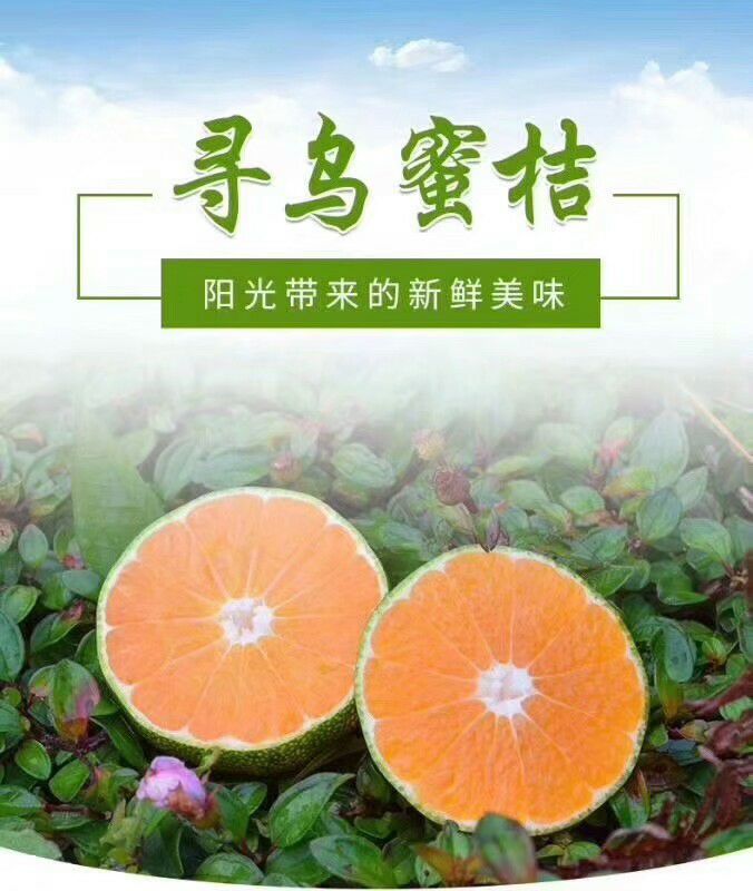 正宗寻乌蜜橘皮薄肉多，农家自种不打蜡不吹熟，果园直供现采现发