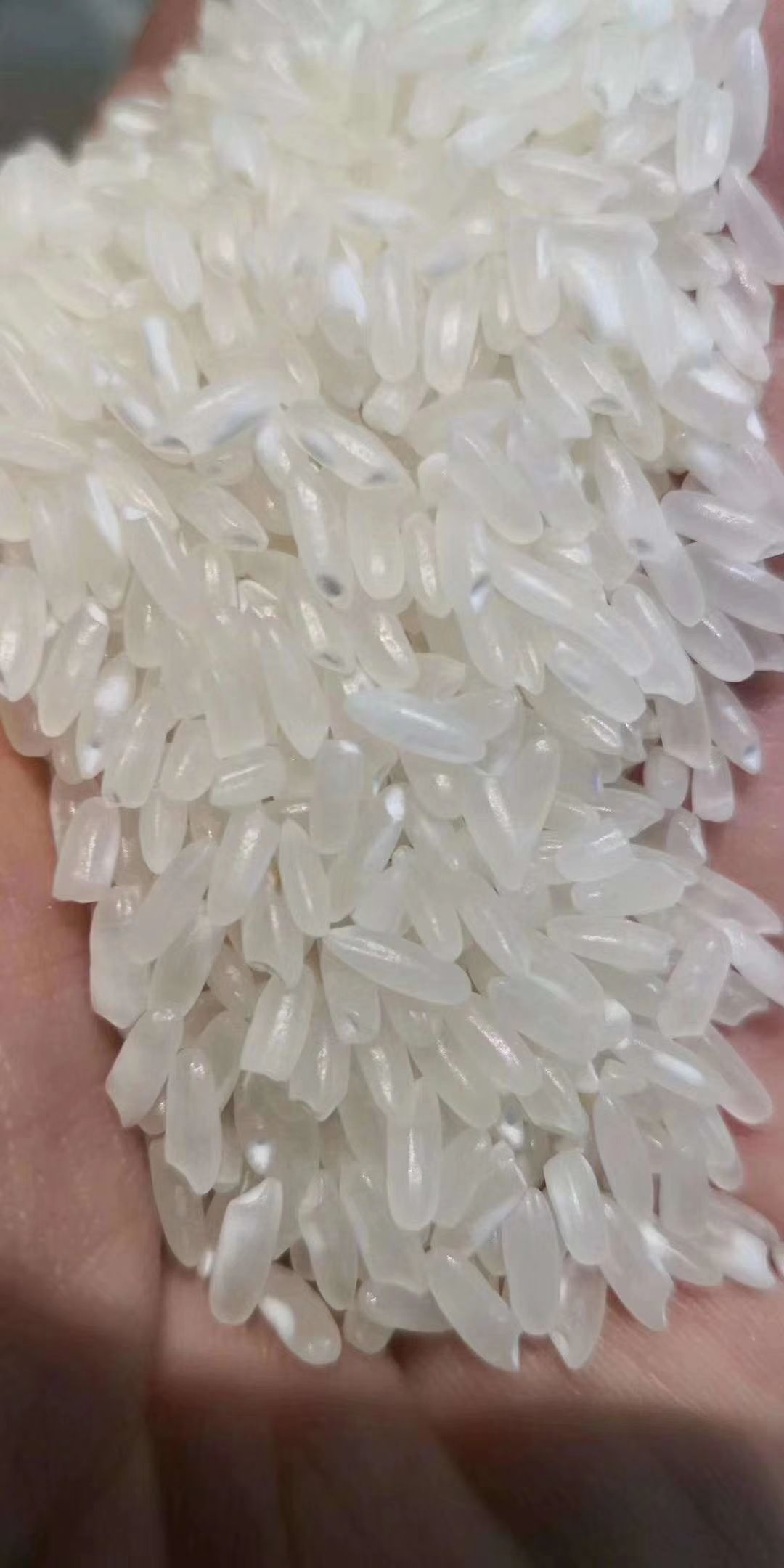 五常大米自产自销稻花香