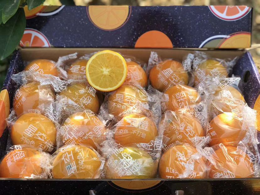 优质水果 零食 海鲜代理 一件代发