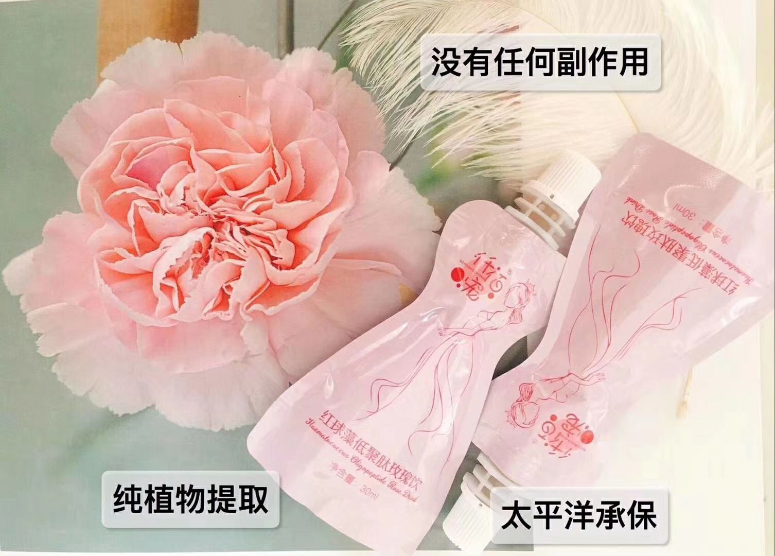 仟佰宠瘦身减肥养生玫瑰饮品