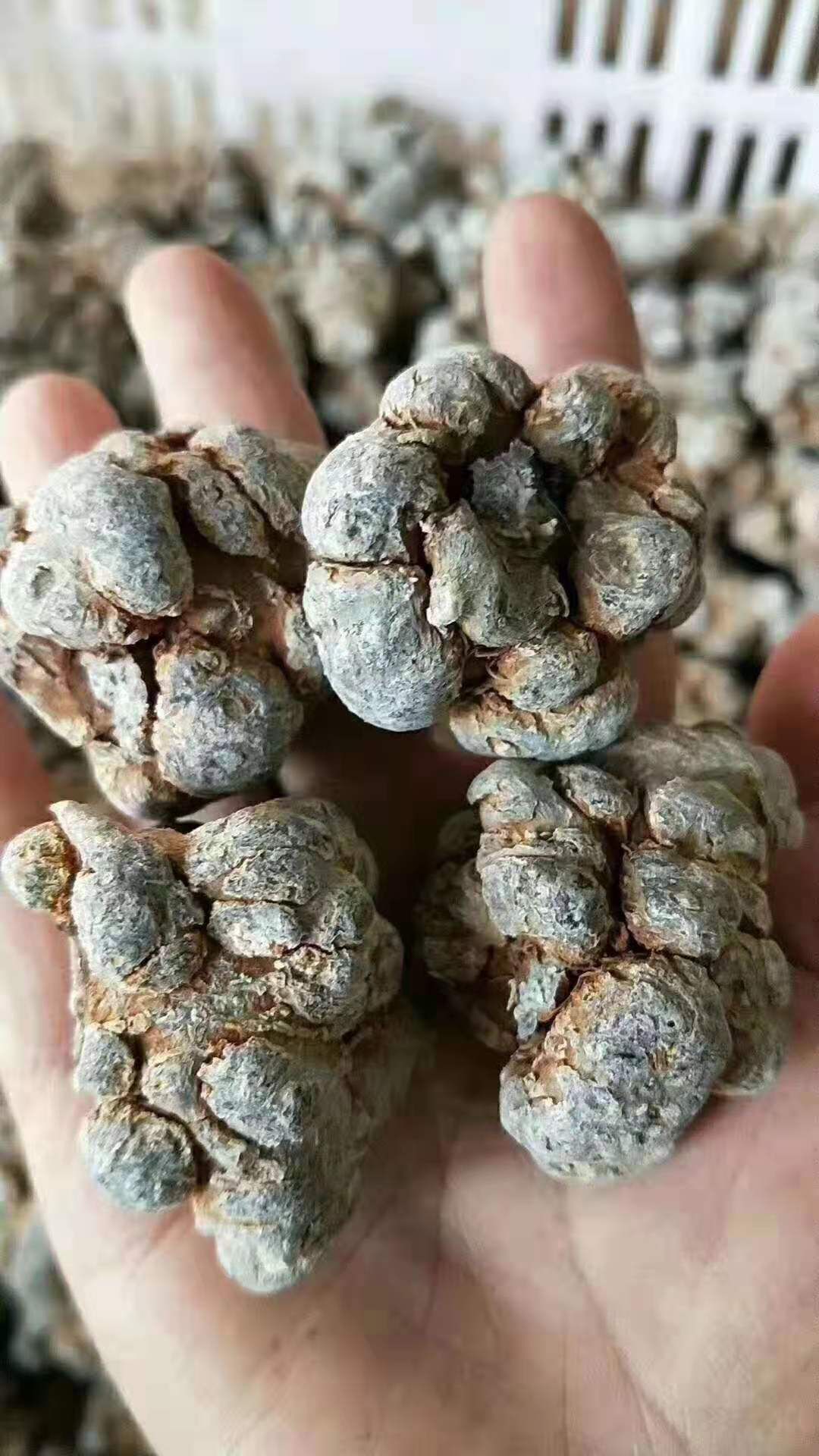 三七粉，无熏硫，不磨光，不打蜡