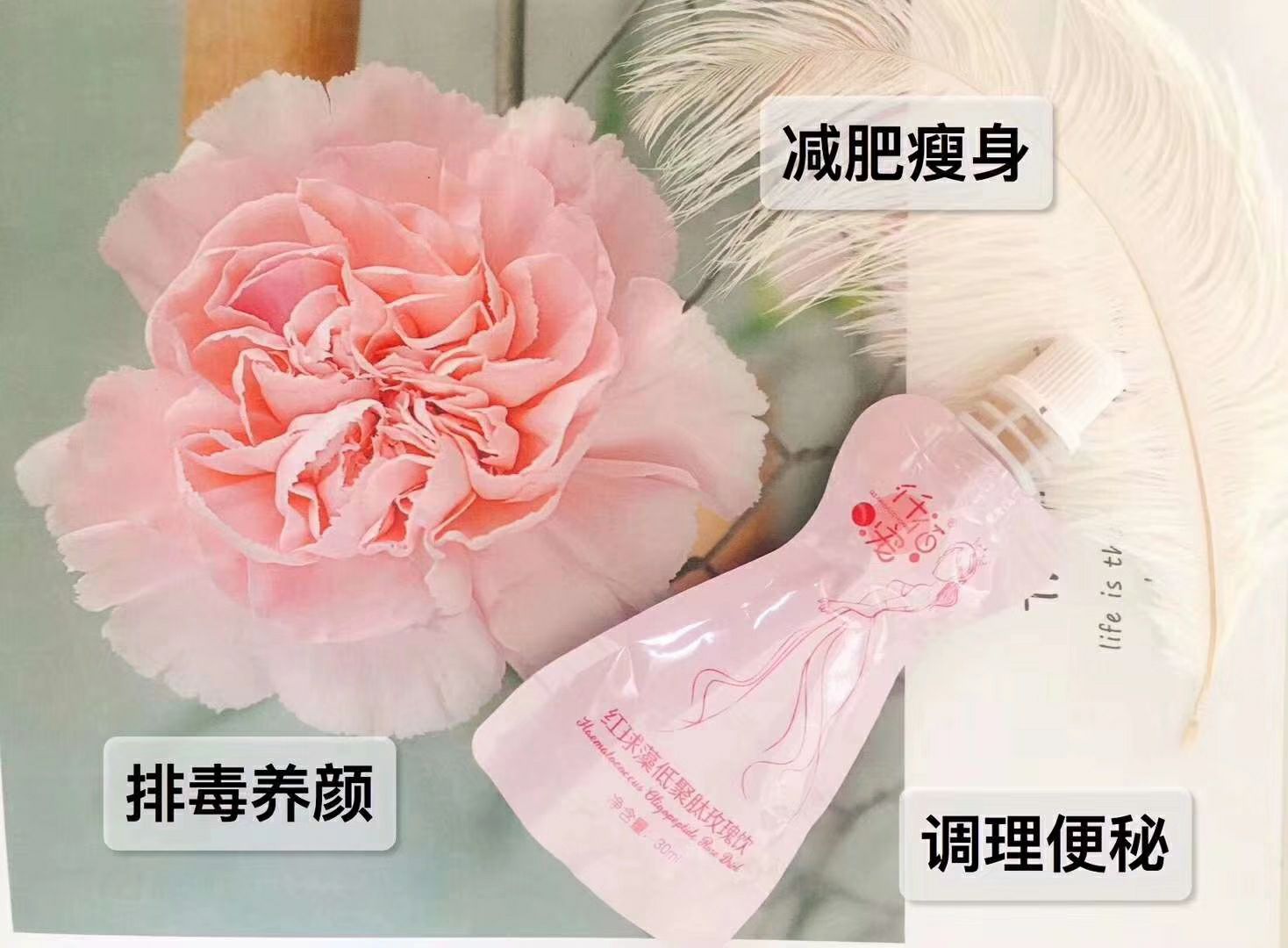 仟佰宠瘦身减肥养生玫瑰饮品