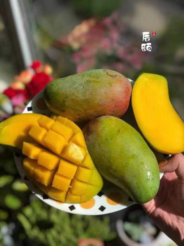 原生态水果 名优特产零食 果园直发，一件包邮