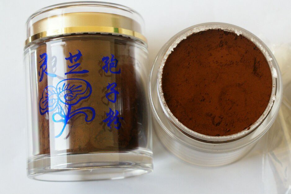 长白山脉头道灵芝孢子粉。木耳。蘑菇。