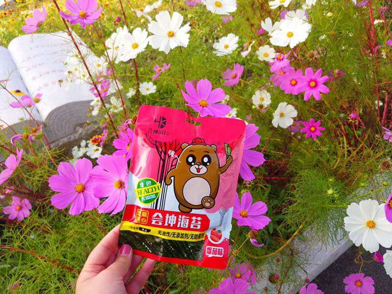 会坤小熊芝麻夹心海苔