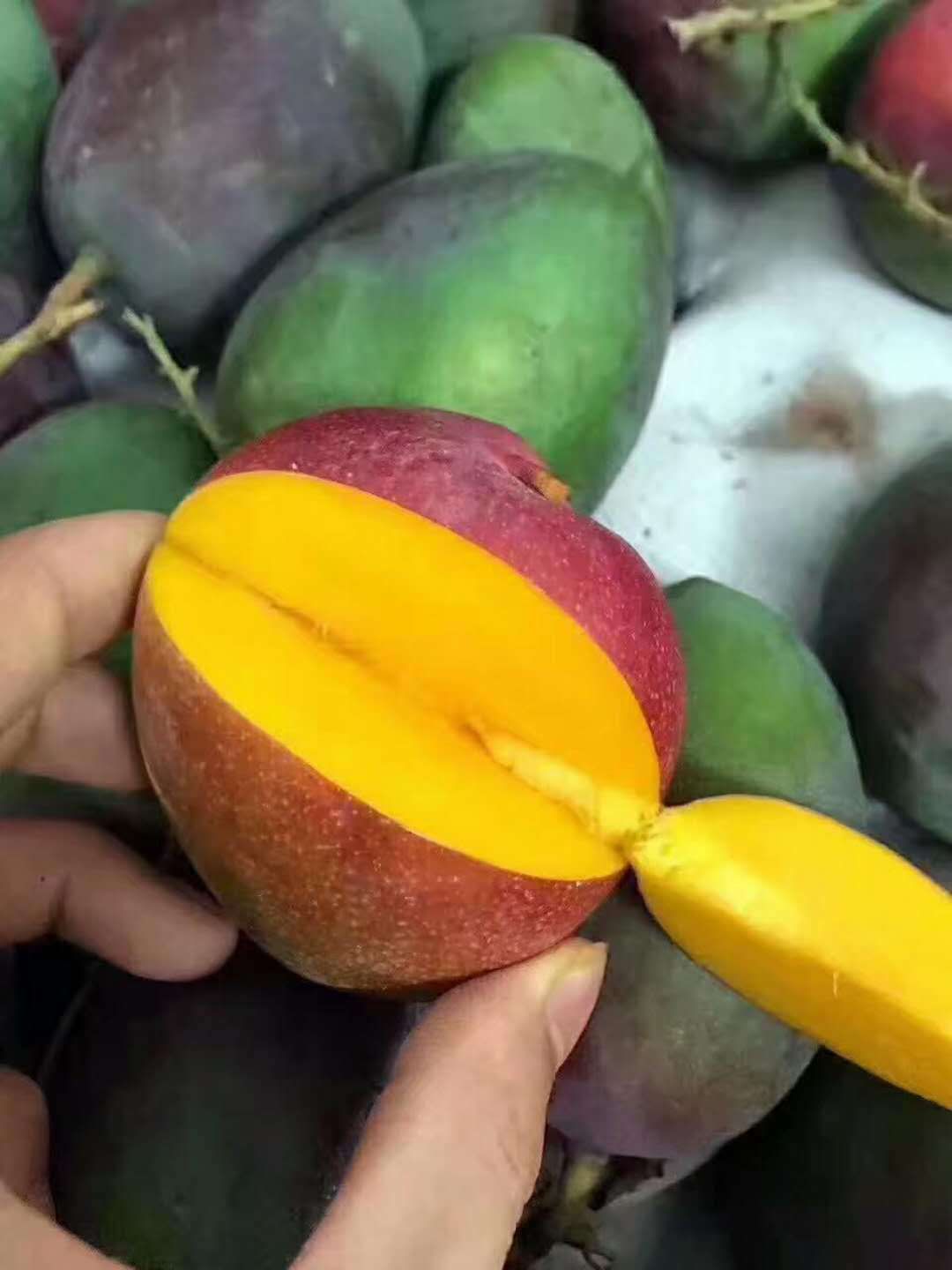 木生食品诚邀加盟分销代理，送微商神器