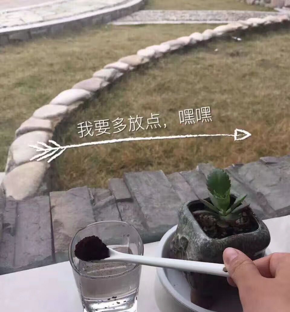 长白山脉头道灵芝孢子粉。木耳。蘑菇。
