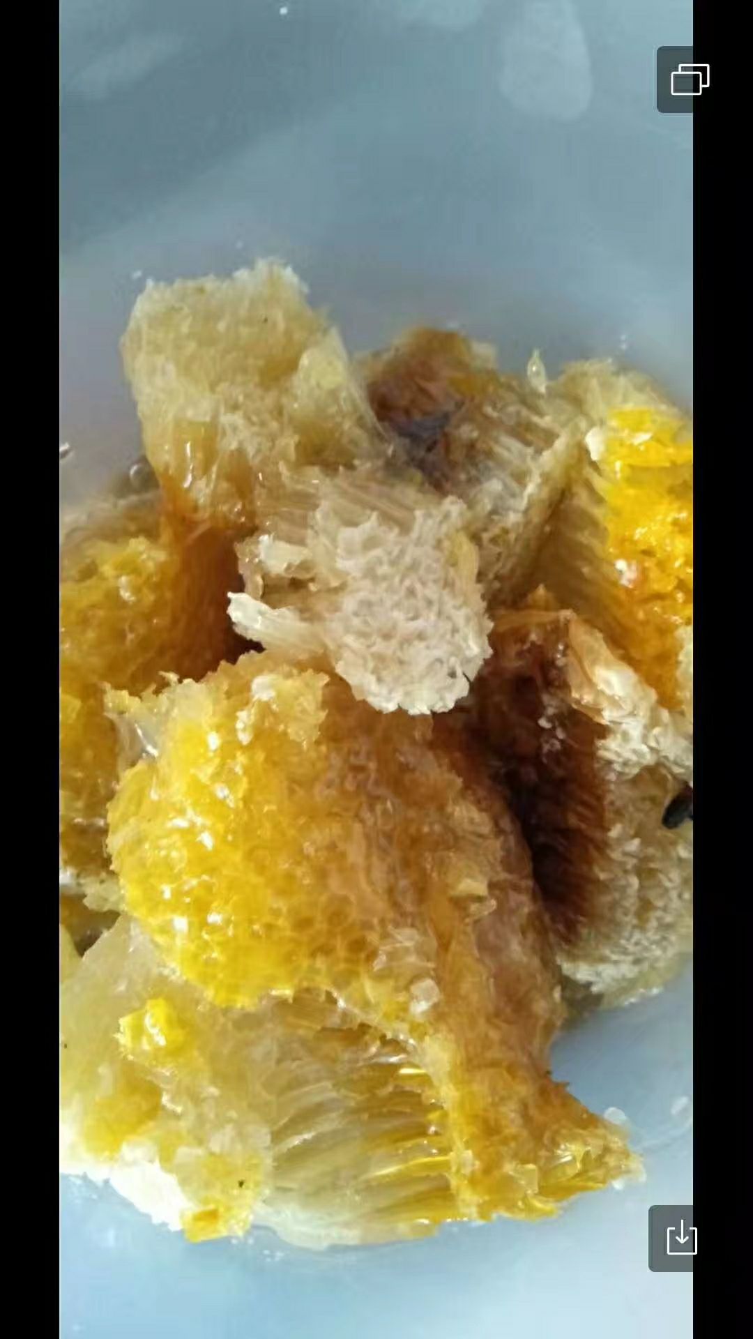 东南亚老挝森林野生蜂蜜
