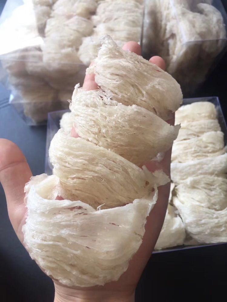 燕窝最佳养容养颜，润阴止咳且保护暖巢抗衰老佳品！