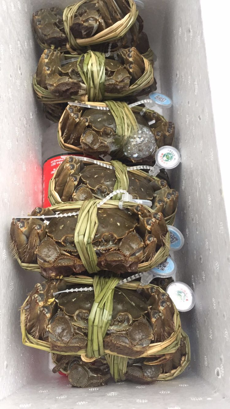 固城湖大闸蟹招代理