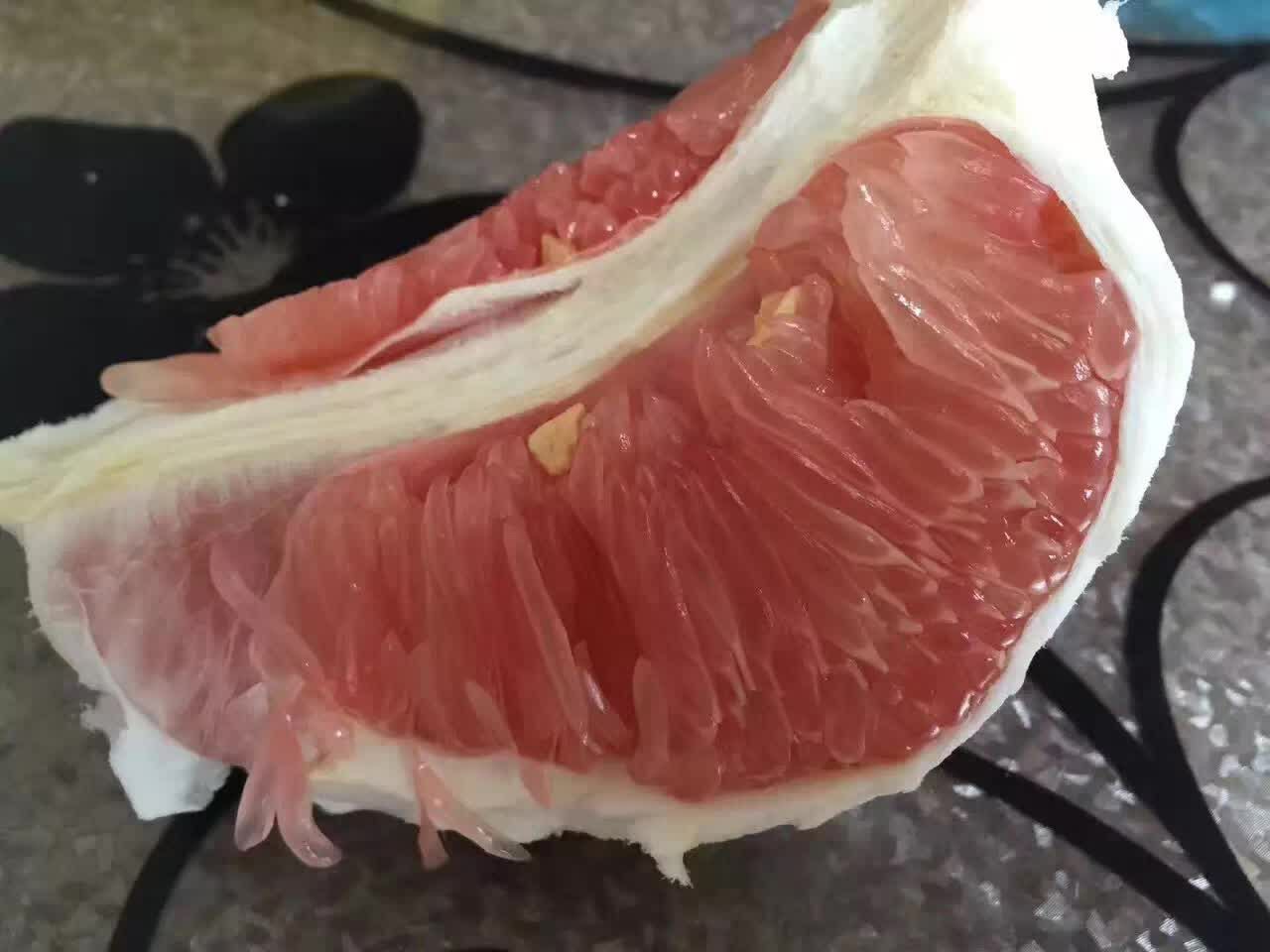 正宗平和琯溪蜜柚 诚招水果经销商和代理