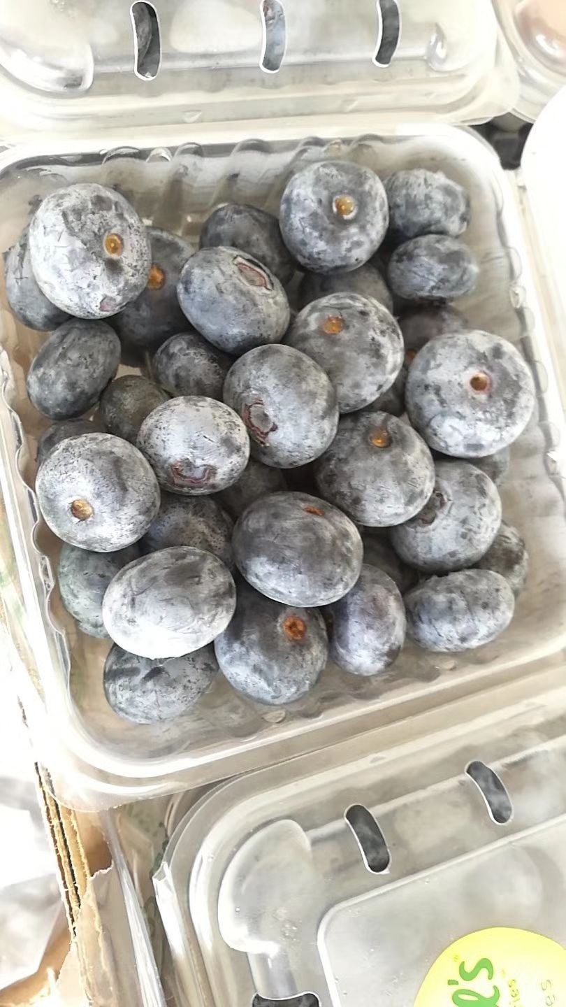 蓝莓  关爱自己，更关爱眼睛