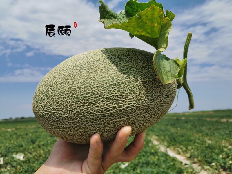 辰颐物语健康水果