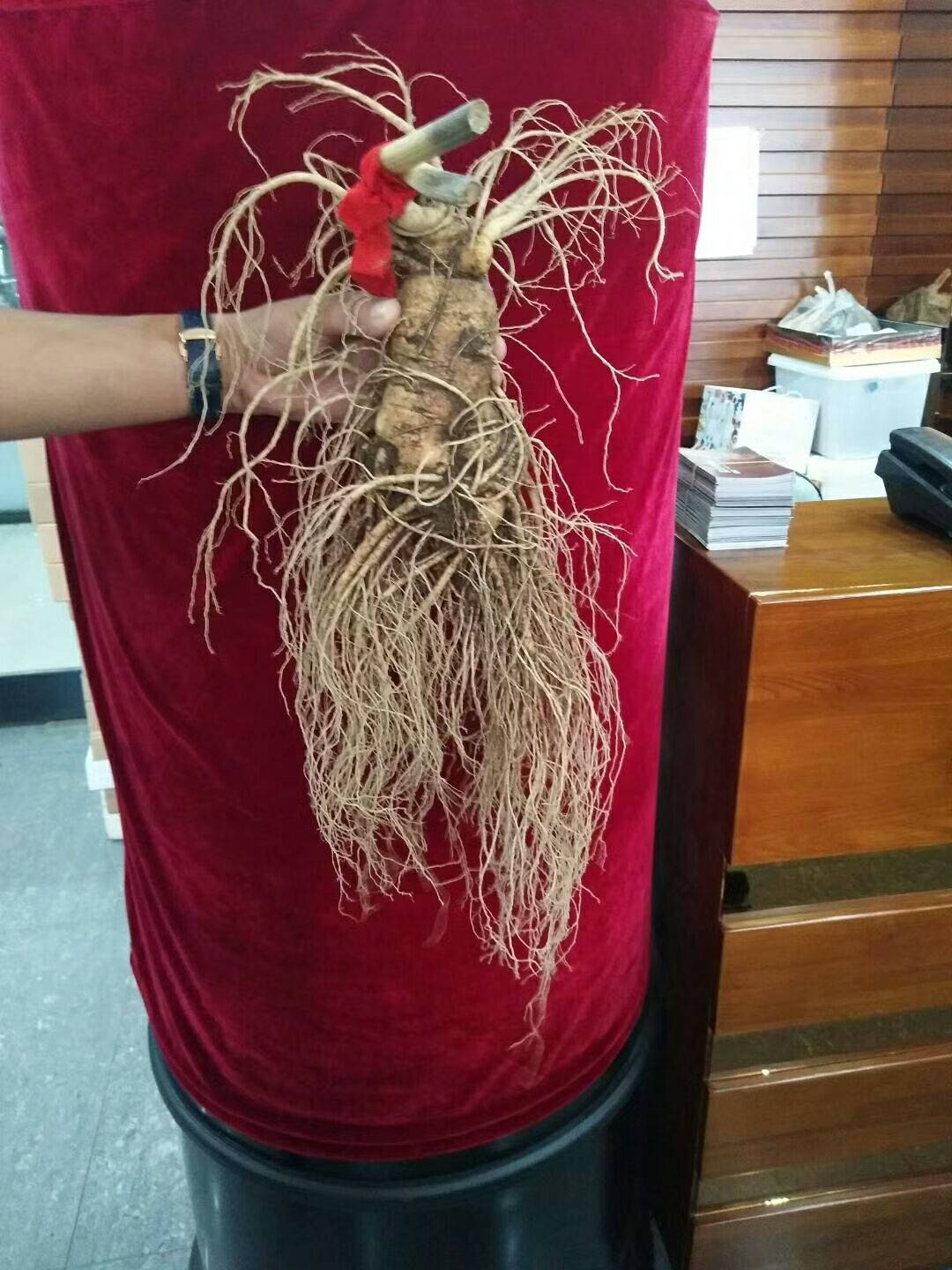 长白山土特产人参(*￣3￣)木耳。灵芝。蜂蜜。五味子等
