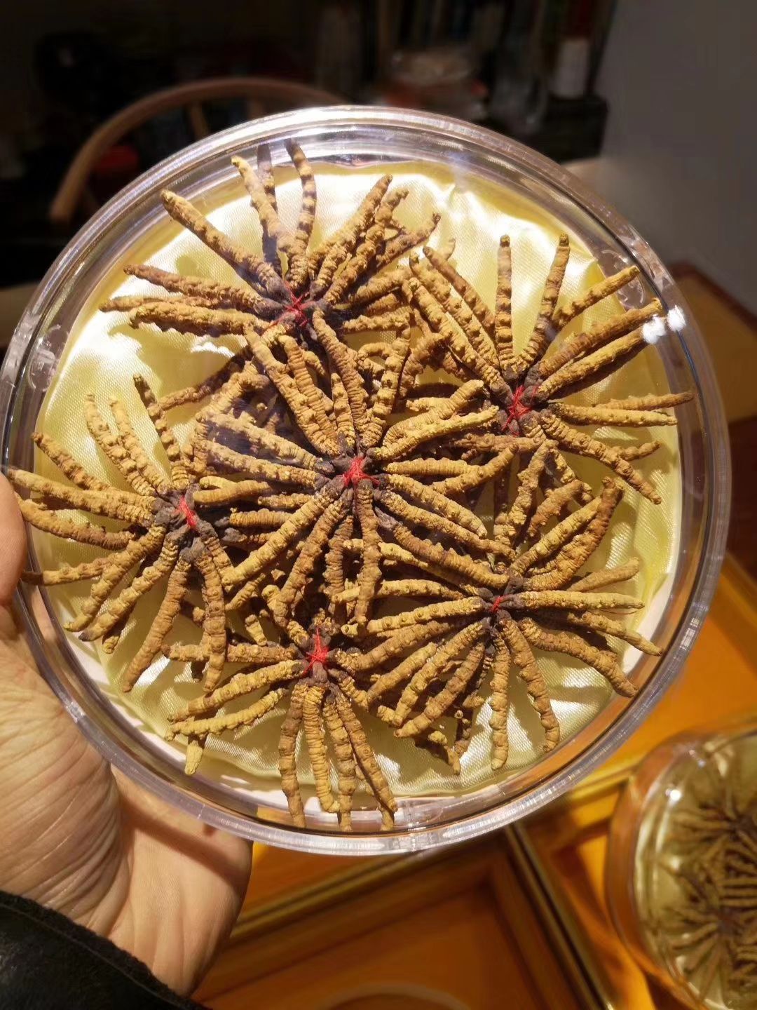 Lembon蓝梦燕窝实体店招商，加盟，代理