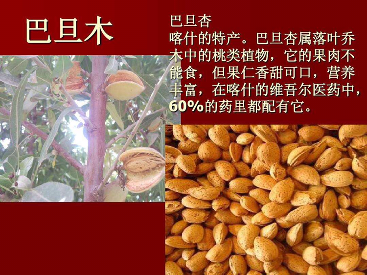 价廉品优的正宗干果 招代理