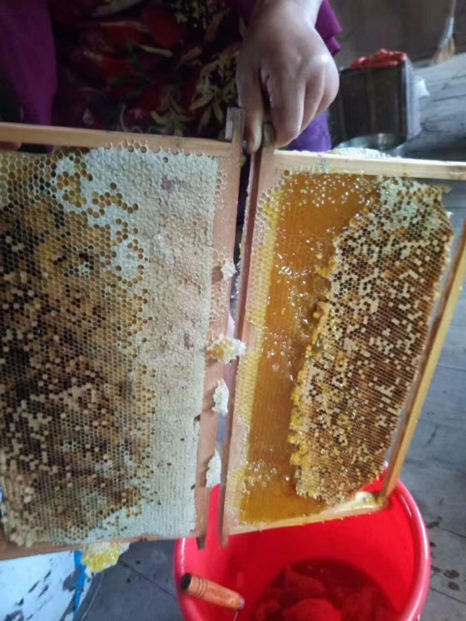 广西玉林土蜂蜜诚招代理