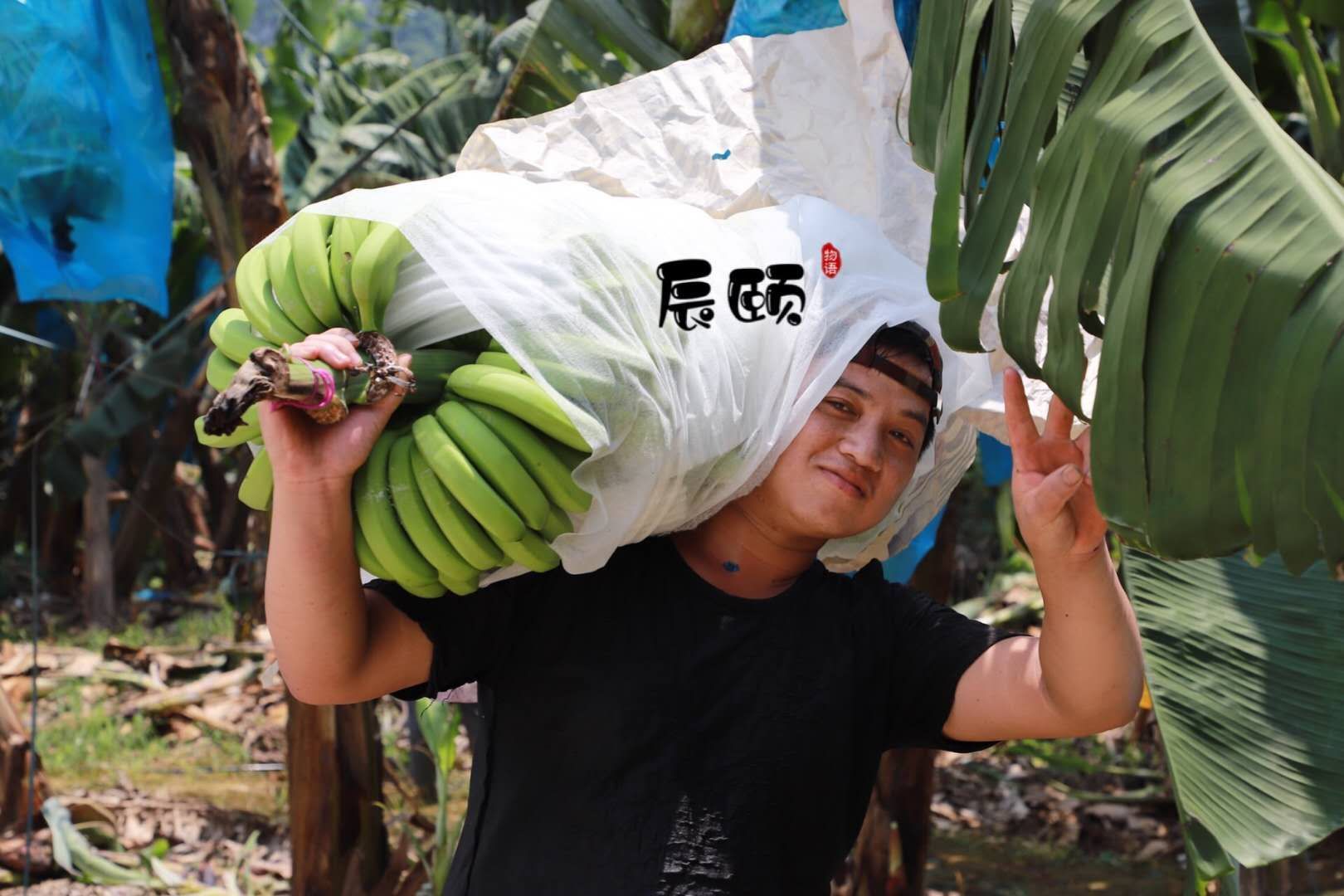 果园直发 新鲜水果 宝妈边带娃边挣钱！