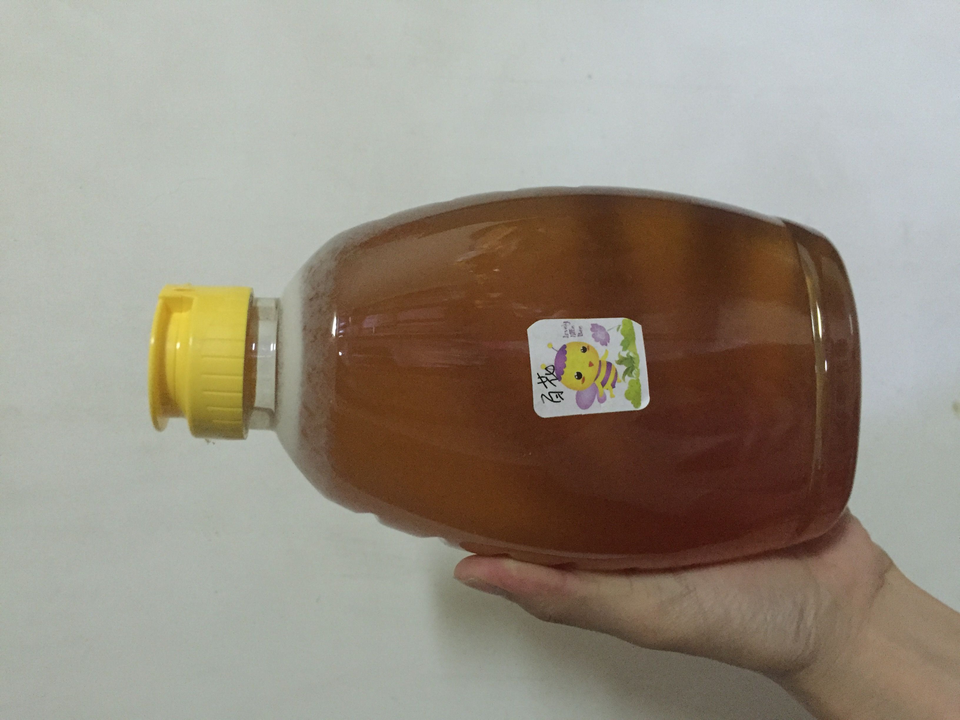 广西玉林土蜂蜜诚招代理