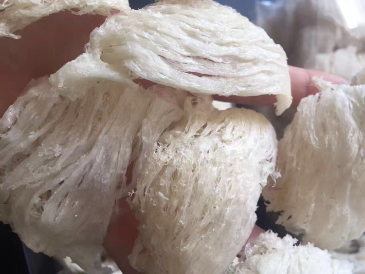 燕窝最佳养容养颜，润阴止咳且保护暖巢抗衰老佳品！