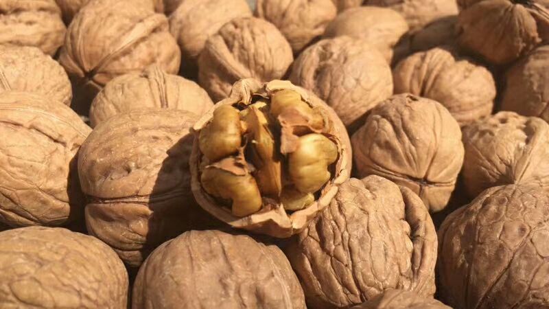水果生鲜干货，诚招代理，一件代发