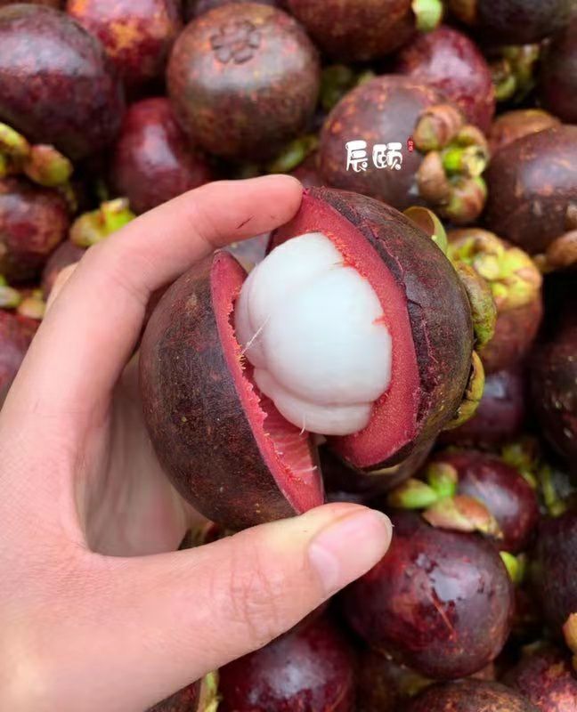 辰颐物语健康水果