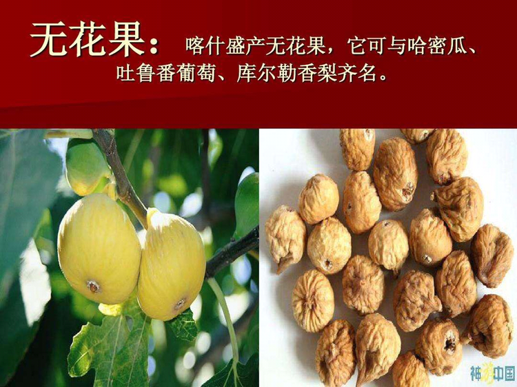 价廉品优的正宗干果 招代理
