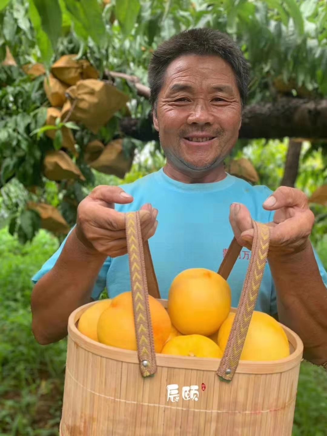 果园直发 新鲜水果 宝妈边带娃边挣钱！