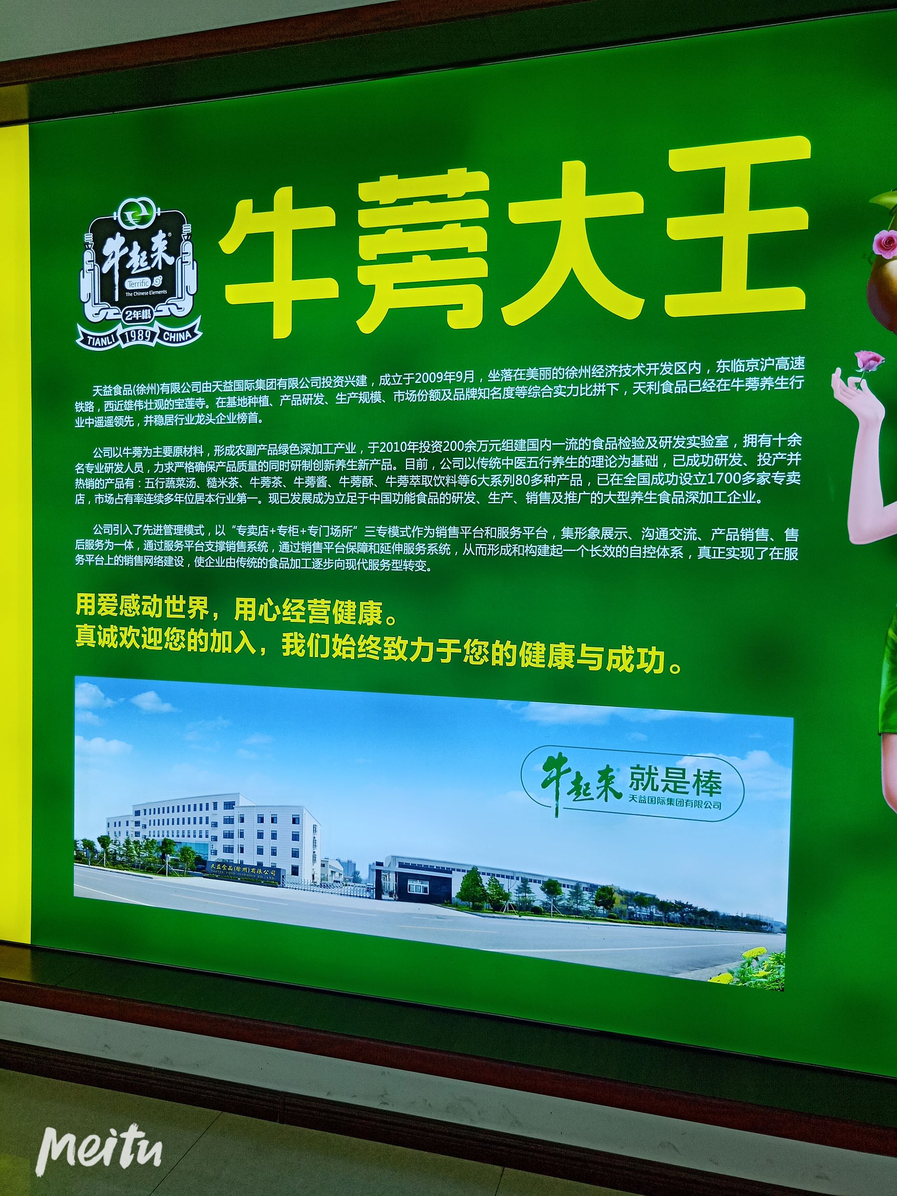 牛蒡大王双蛋白营养餐 代理840自己喝也可以赚钱哦！