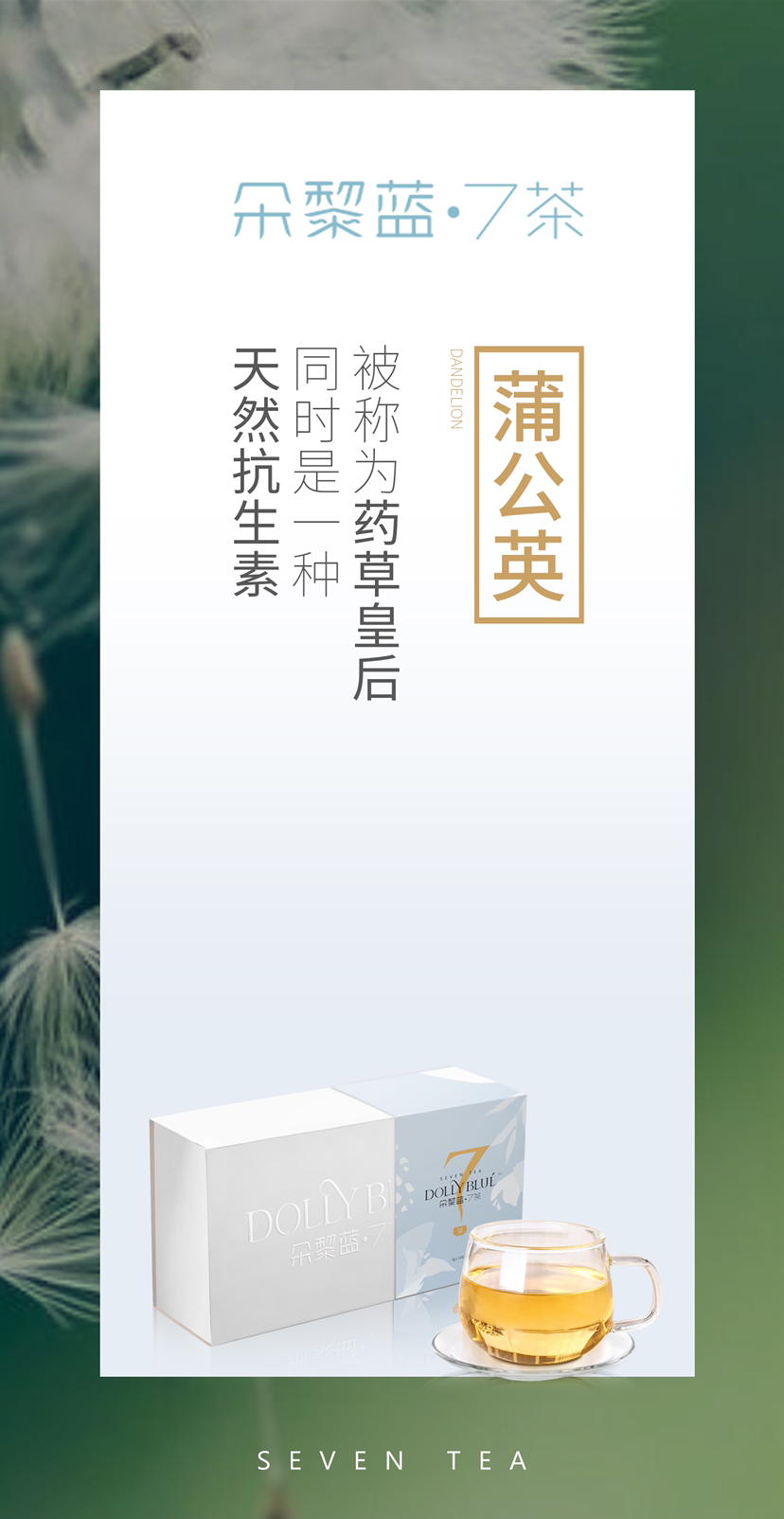 朵黎蓝7茶全国招商 新项目红利期