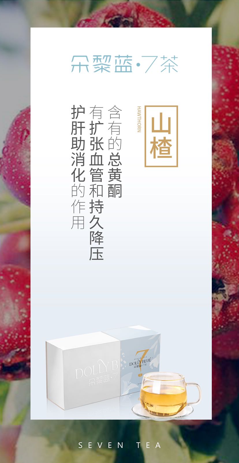 朵黎蓝7茶全国招商 新项目红利期