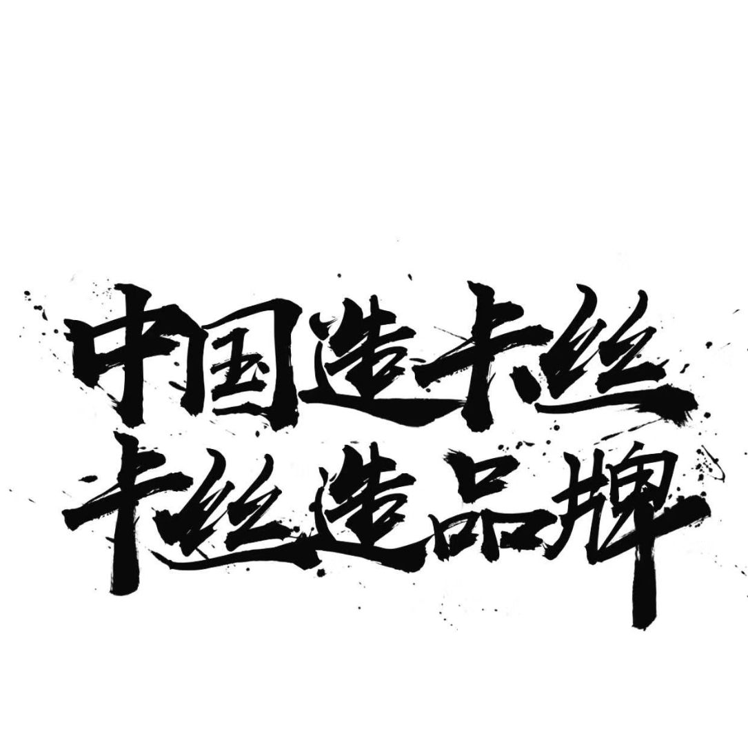 卡丝集团品牌卡丝集团500强企业互联网➕线下实体498