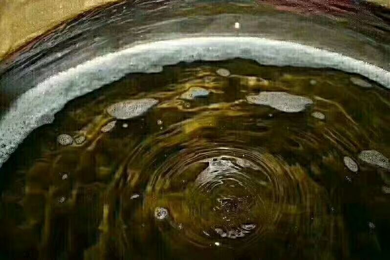陈年佳酿酱香经典