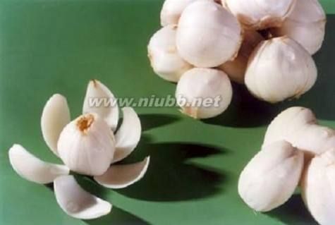 植物减肥用品