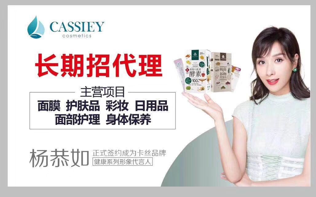 卡丝集团品牌卡丝集团500强企业互联网➕线下实体498