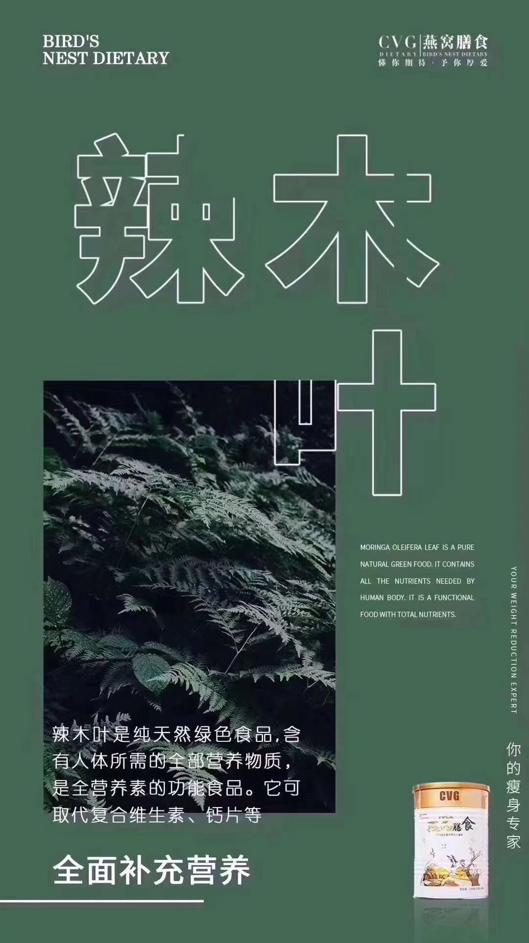 减脂瘦身带你瘦带你赚