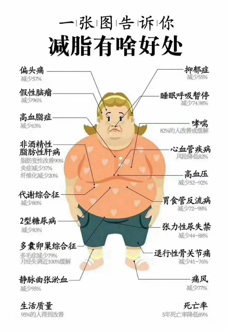 减肥瘦身茶家小饼