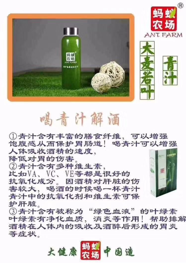 青汁蚂蚁农场