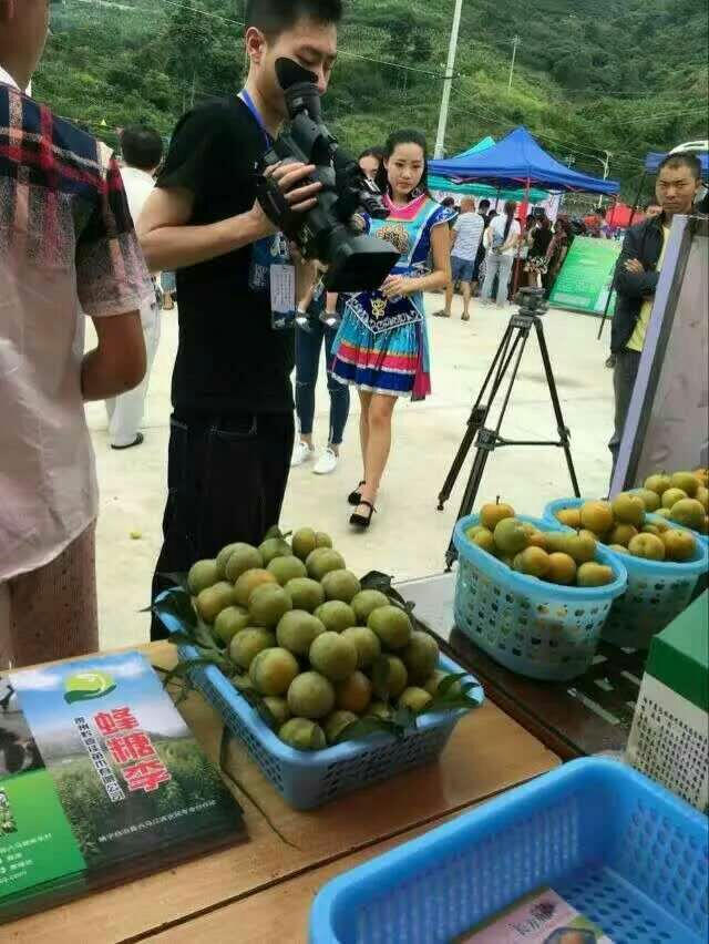 兜蓝帮扶助贫，为山区农特产寻找销路