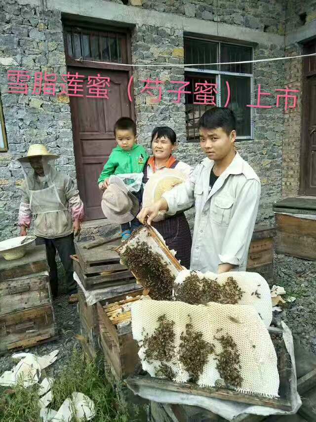 兜蓝帮扶助贫，为山区农特产寻找销路