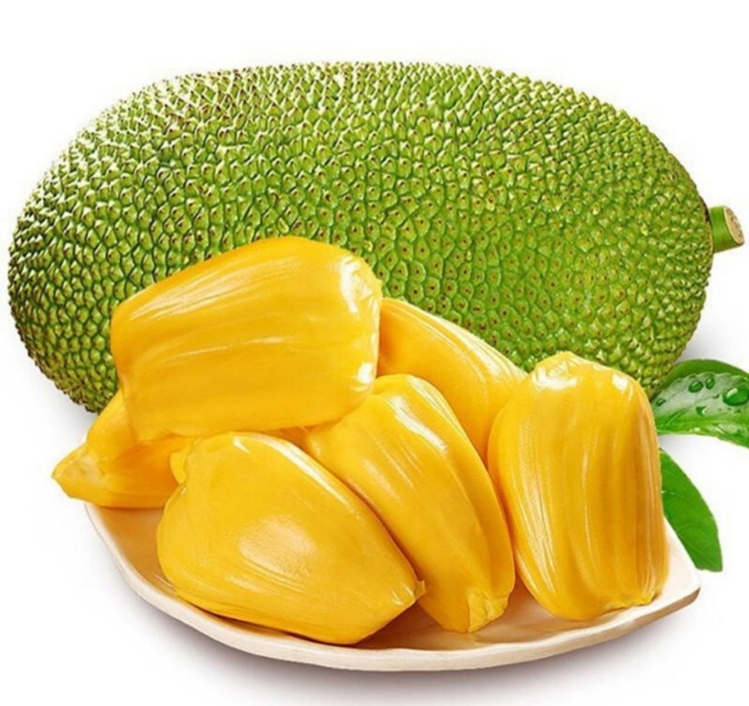 海南黄肉菠萝蜜