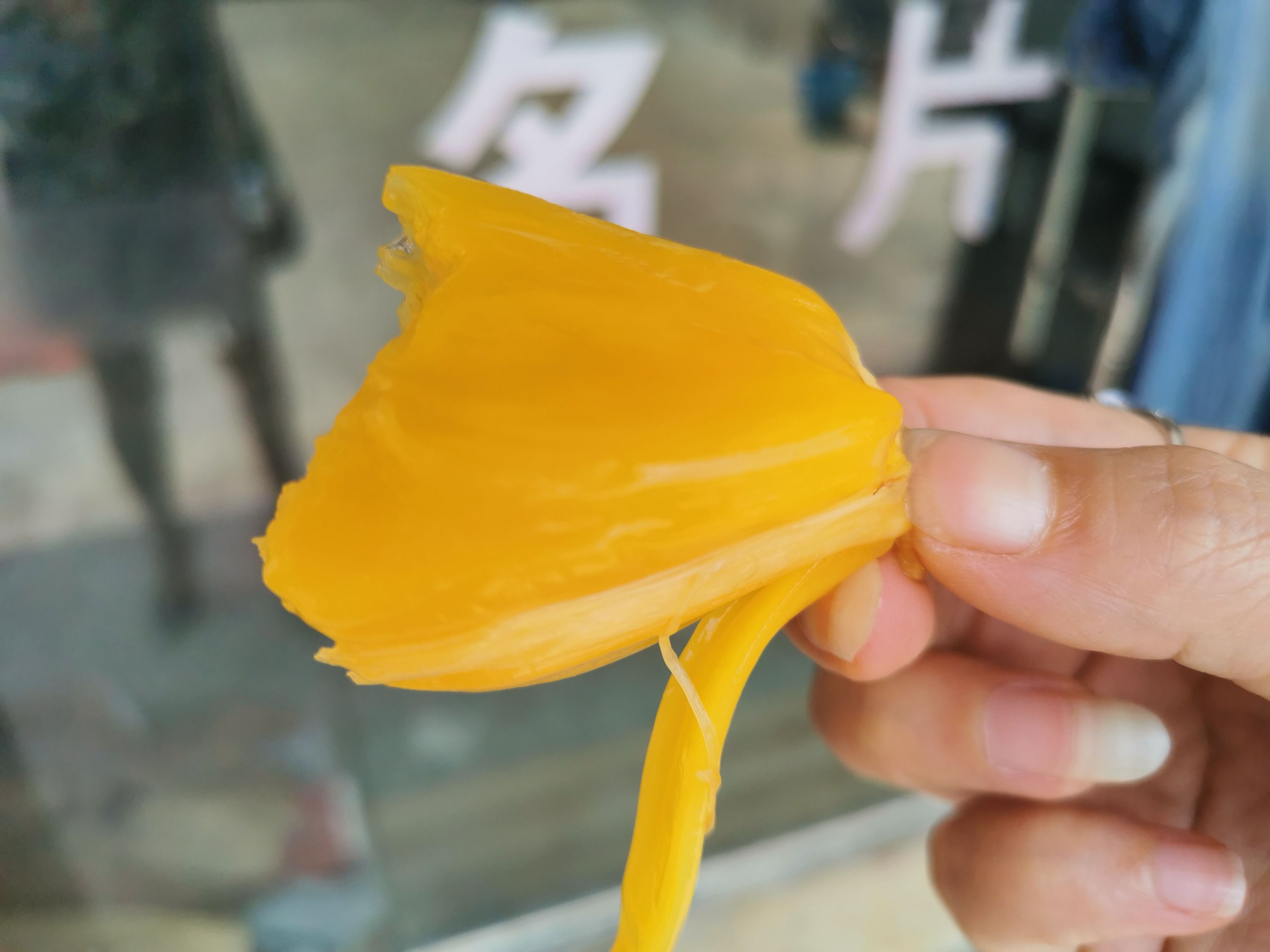 海南黄肉菠萝蜜