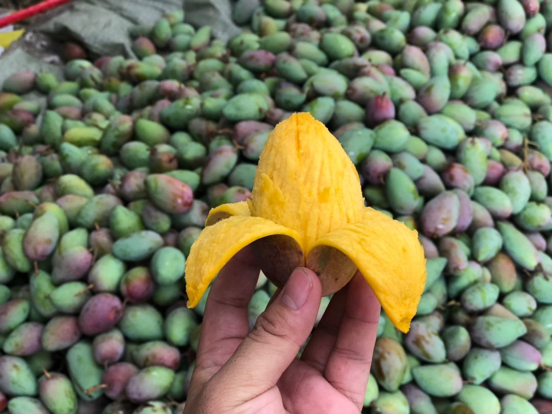 新鲜水果和各种小零食