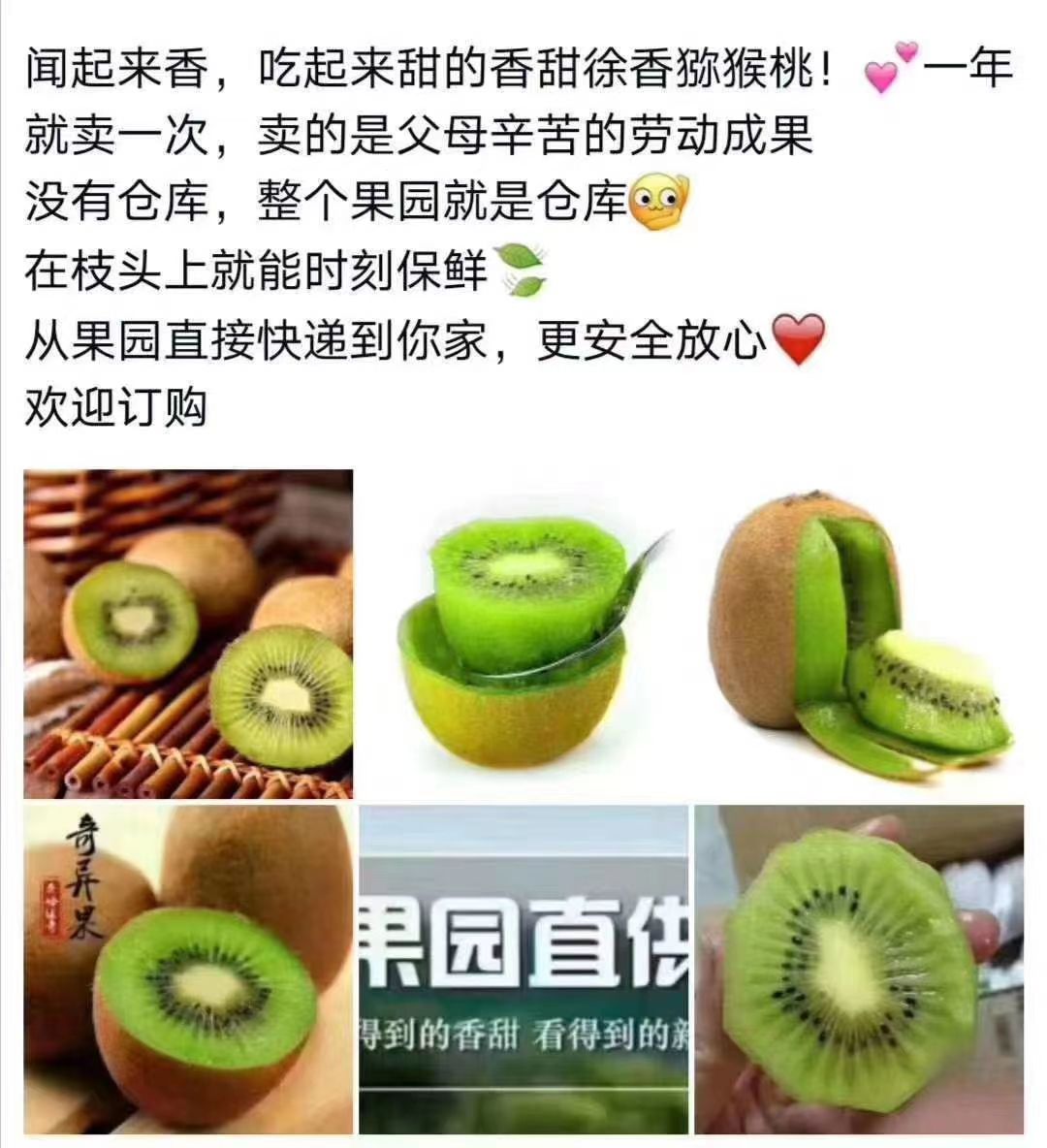陕西眉县猕猴桃