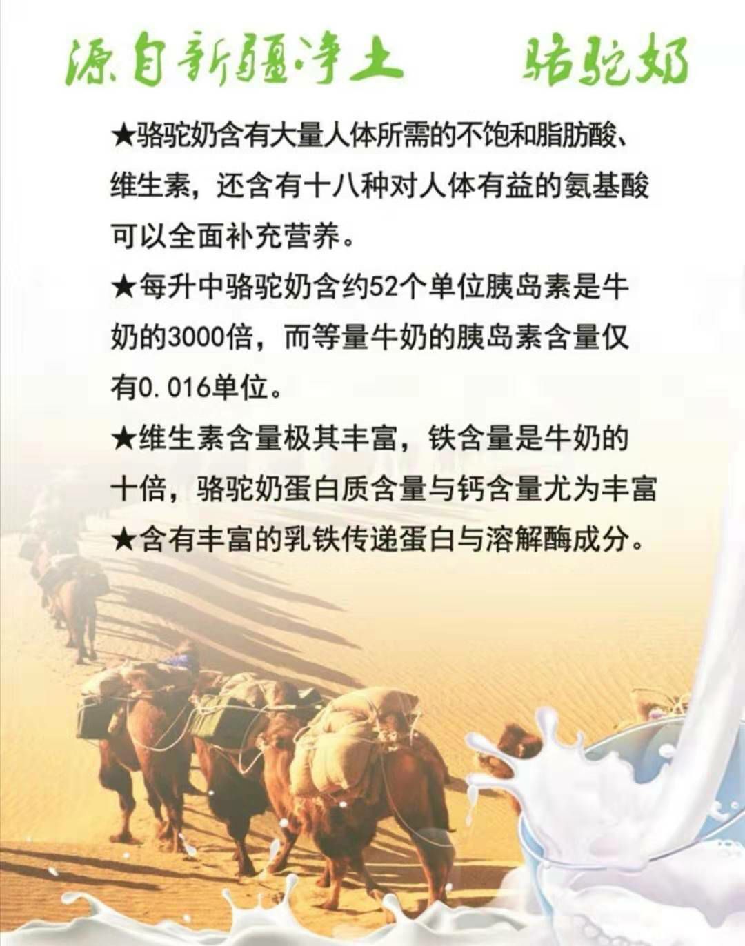 新疆伊犁骆驼奶粉招代理商